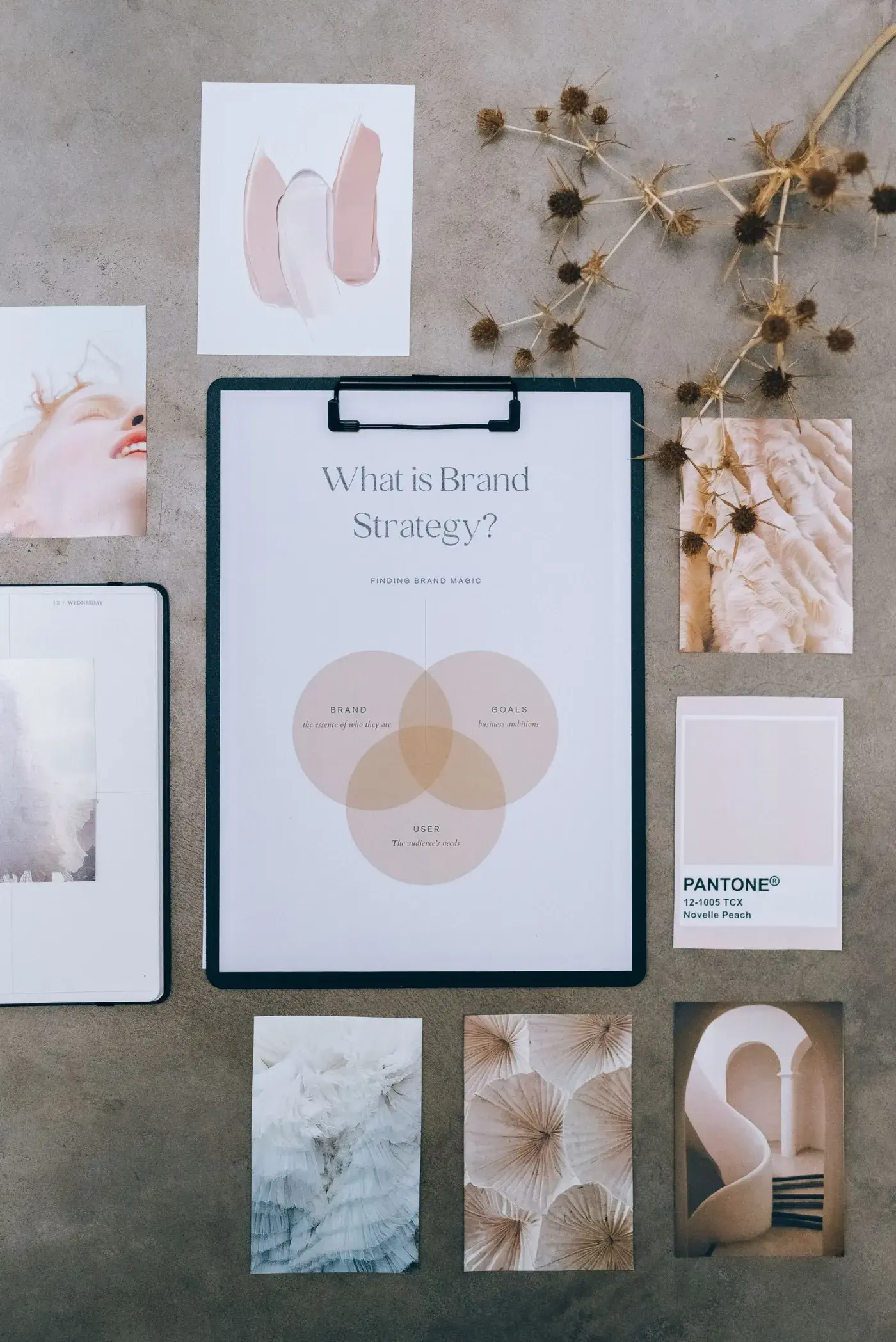 Brand & Creative services by Blacklemur Innovations